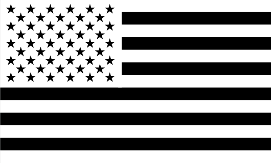 American Flag Sticker<br>(White & Black) FWD