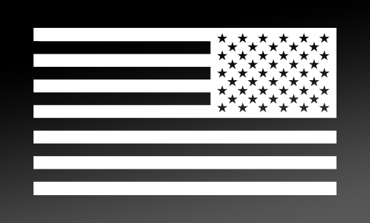 American Flag Decal<br>(White) REV