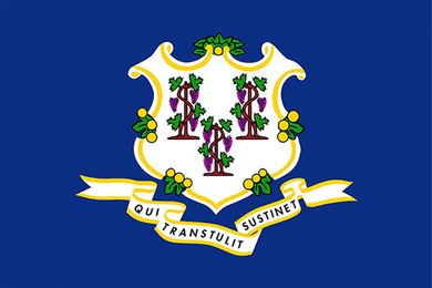 Connecticut State Flag Sticker