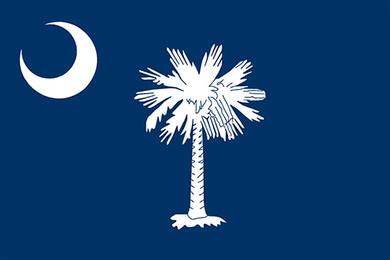 South Carolina State Flag Sticker